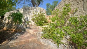 Eine steinerne Treppe führt zu einem Baum, umgeben von Grünpflanzen und einer Steinmauer.