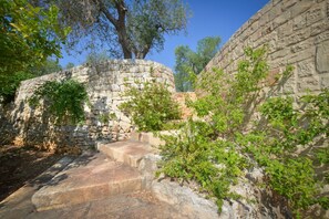 Eine steinerne Treppe führt zu einem Baum, umgeben von Grünpflanzen und einer Steinmauer.