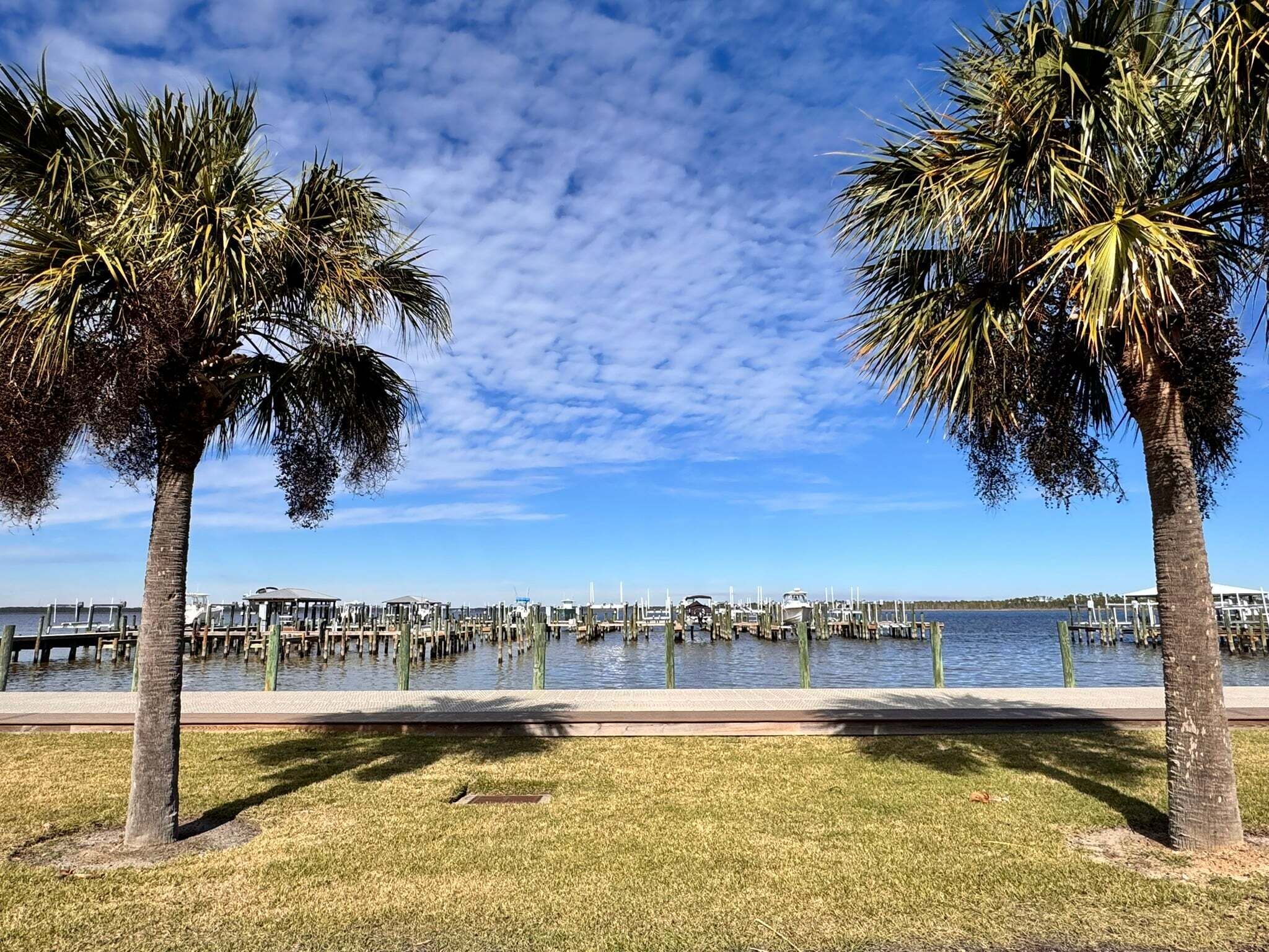 A marina with docked boats, palm trees, and a clear sky.