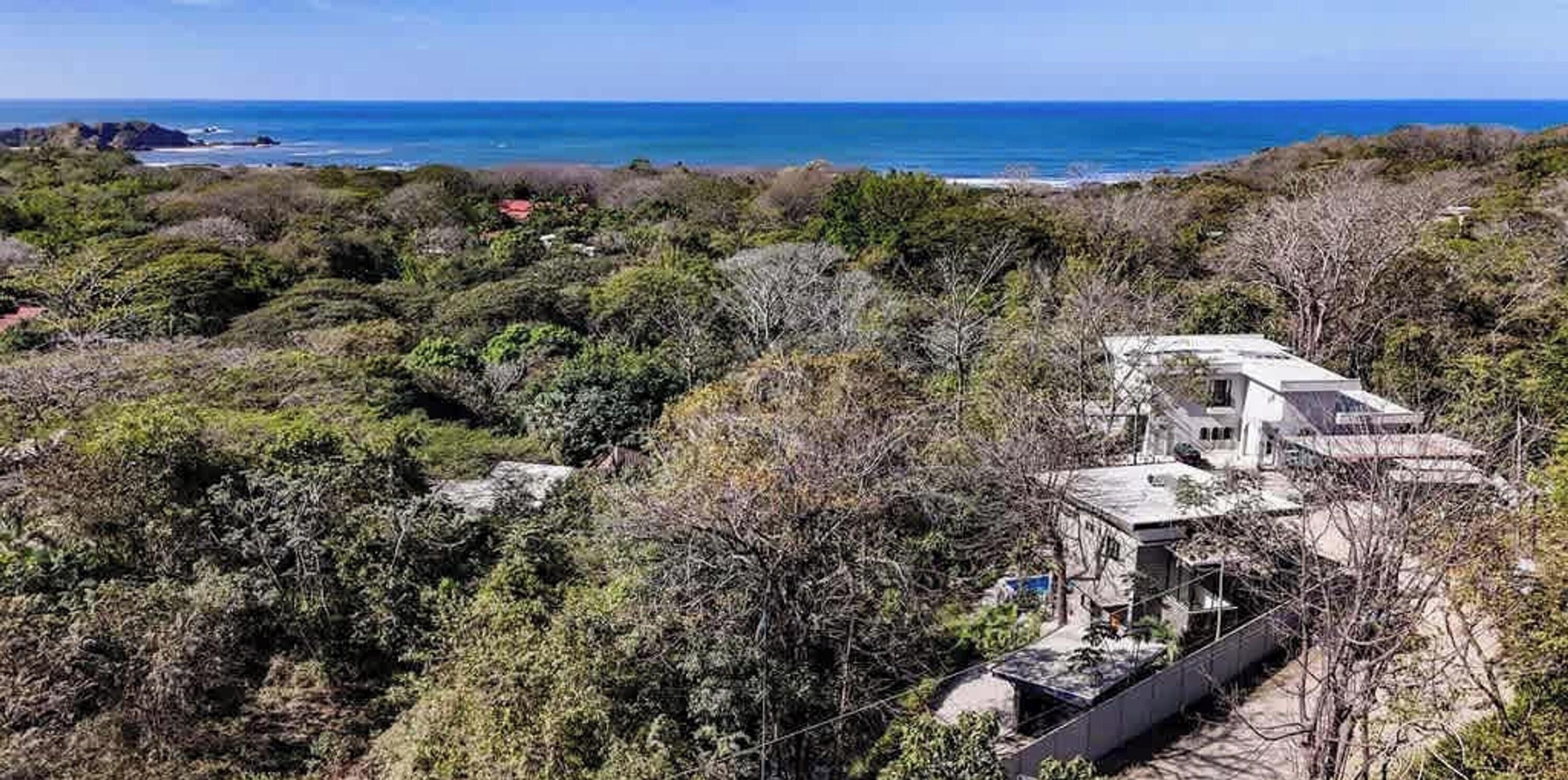 A coastal property with a house surrounded by dense vegetation and a view of the ocean.