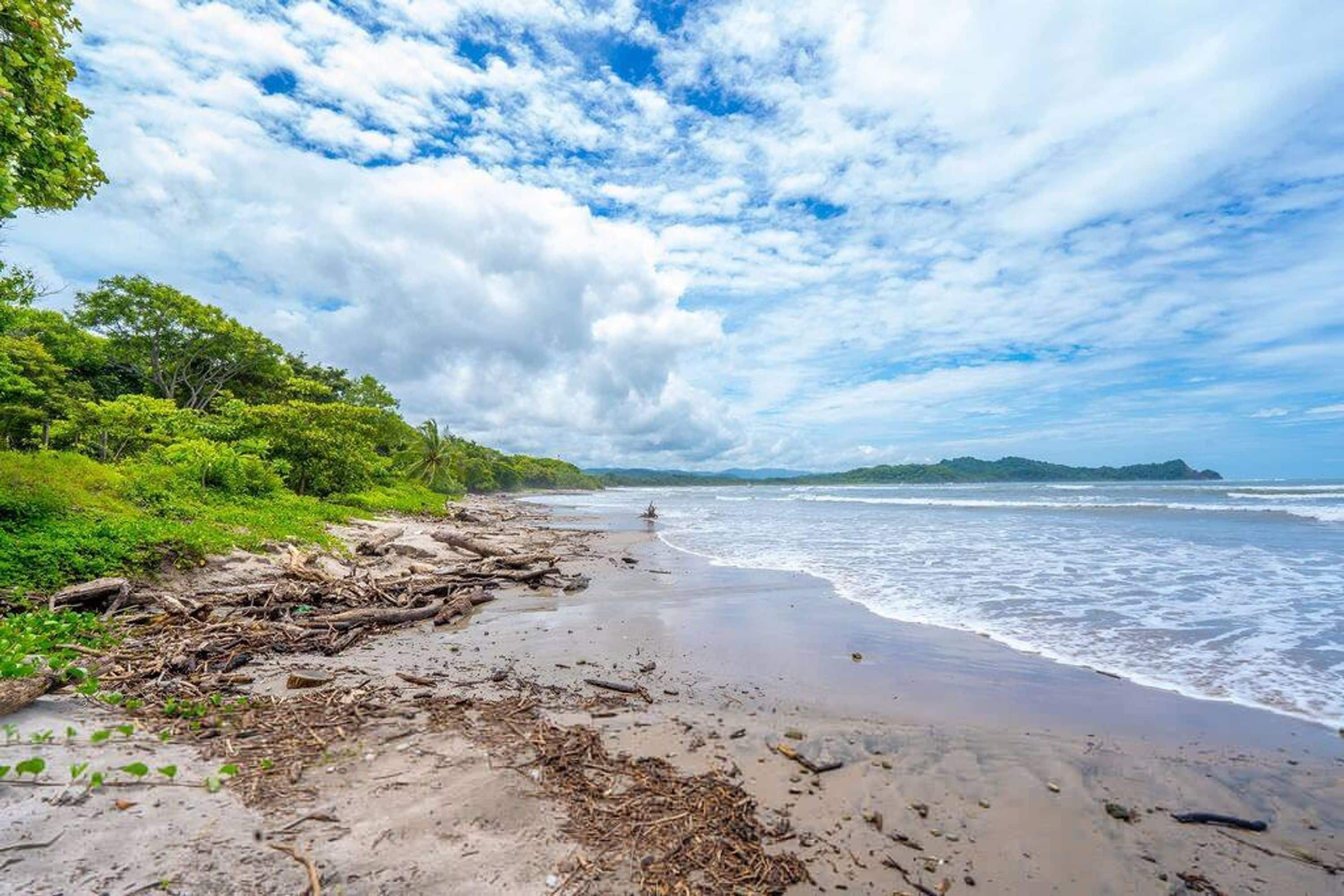 Una playa con arena, vegetación y cielo despejado.