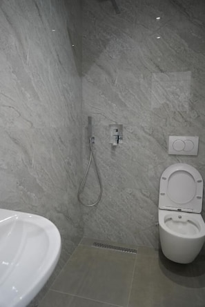 Shower, free toiletries, hair dryer, towels