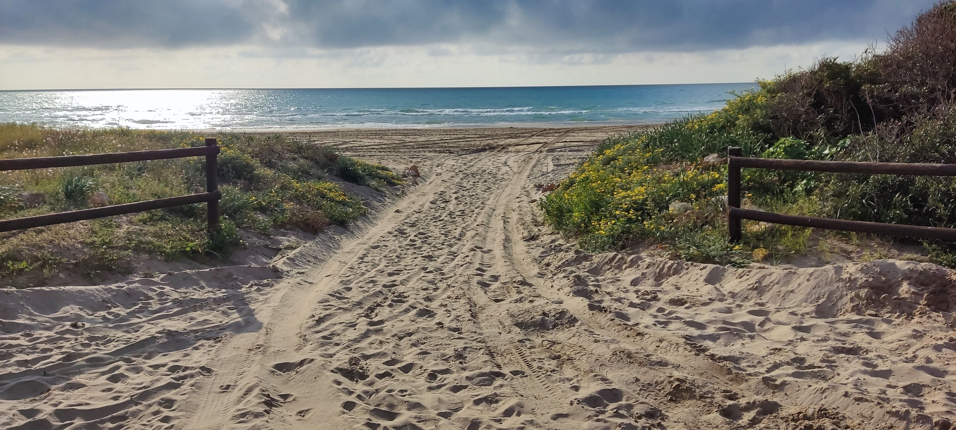 Strand