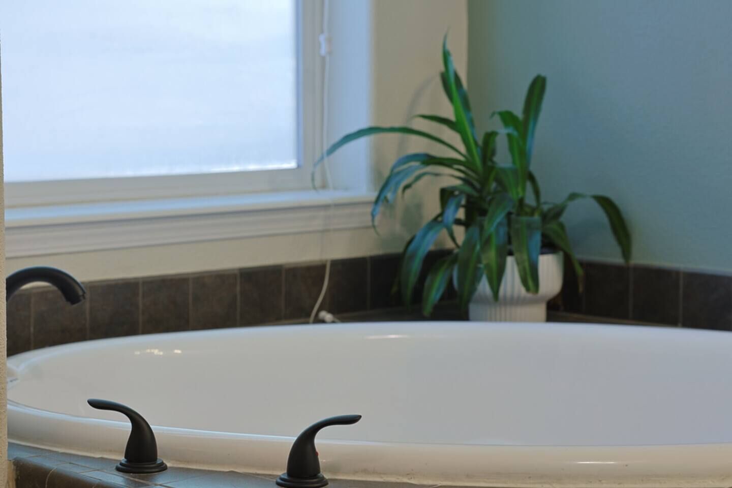 Une salle de bain avec une baignoire, une fenêtre et une plante en pot.