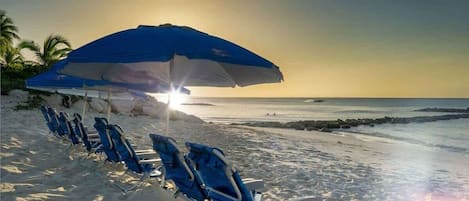 A beach with rows of blue beach chairs and a large blue umbrella providing shade.
