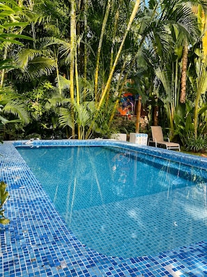 A swimming pool with a tiled edge, surrounded by lush tropical foliage.