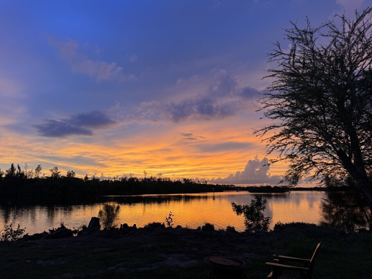Una vista tranquila de un lago, con un banco y un árbol.