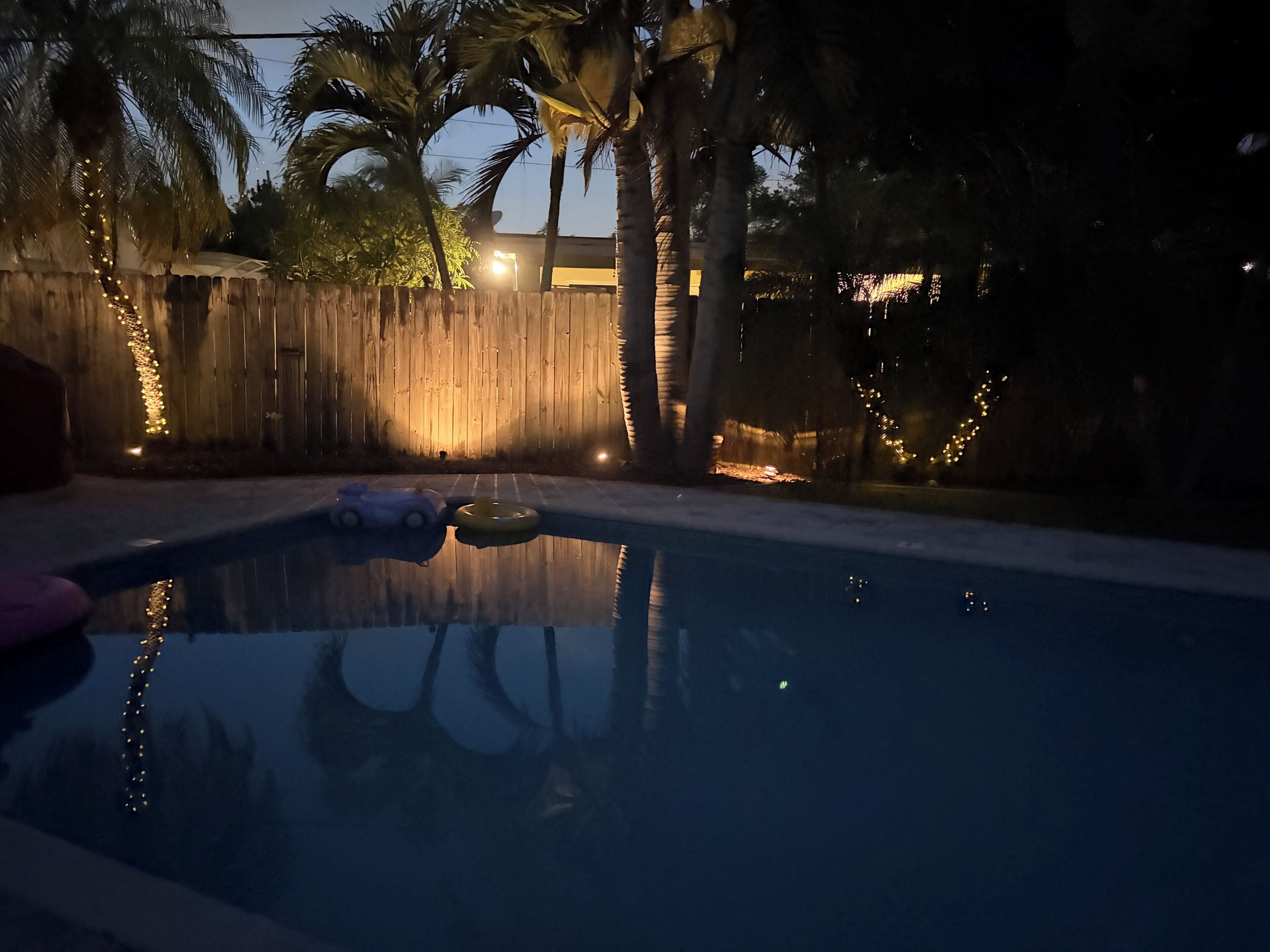A swimming pool with a wooden fence and palm trees.