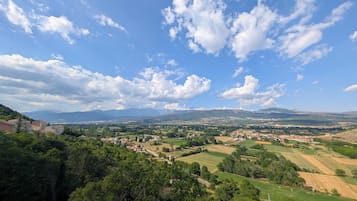 Ein weiter Blick über eine ländliche Landschaft mit einem Dorf, grünen Feldern und Bergen im Hintergrund.