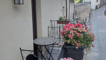 Terras
