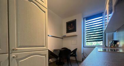 Central 4-Room Apartment Near Central Offenbach