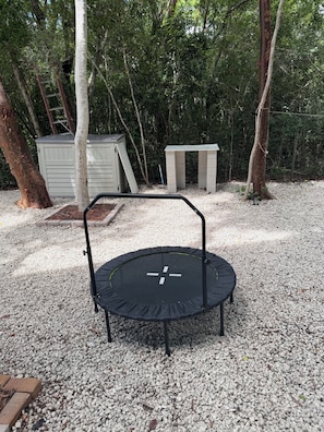 A trampoline in a backyard with trees, a shed, and a bench. - Spacious 2 bedroom house in fabulous Key Largo with AC. Mile 100 1/2 from US1 (Key Largo)