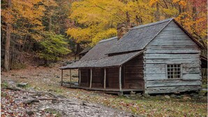 Ein rustikales Holzhaus mit Veranda, umgeben von Herbstlaub.