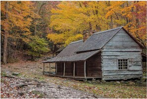 Ein rustikales Holzhaus mit Veranda, umgeben von Herbstlaub.