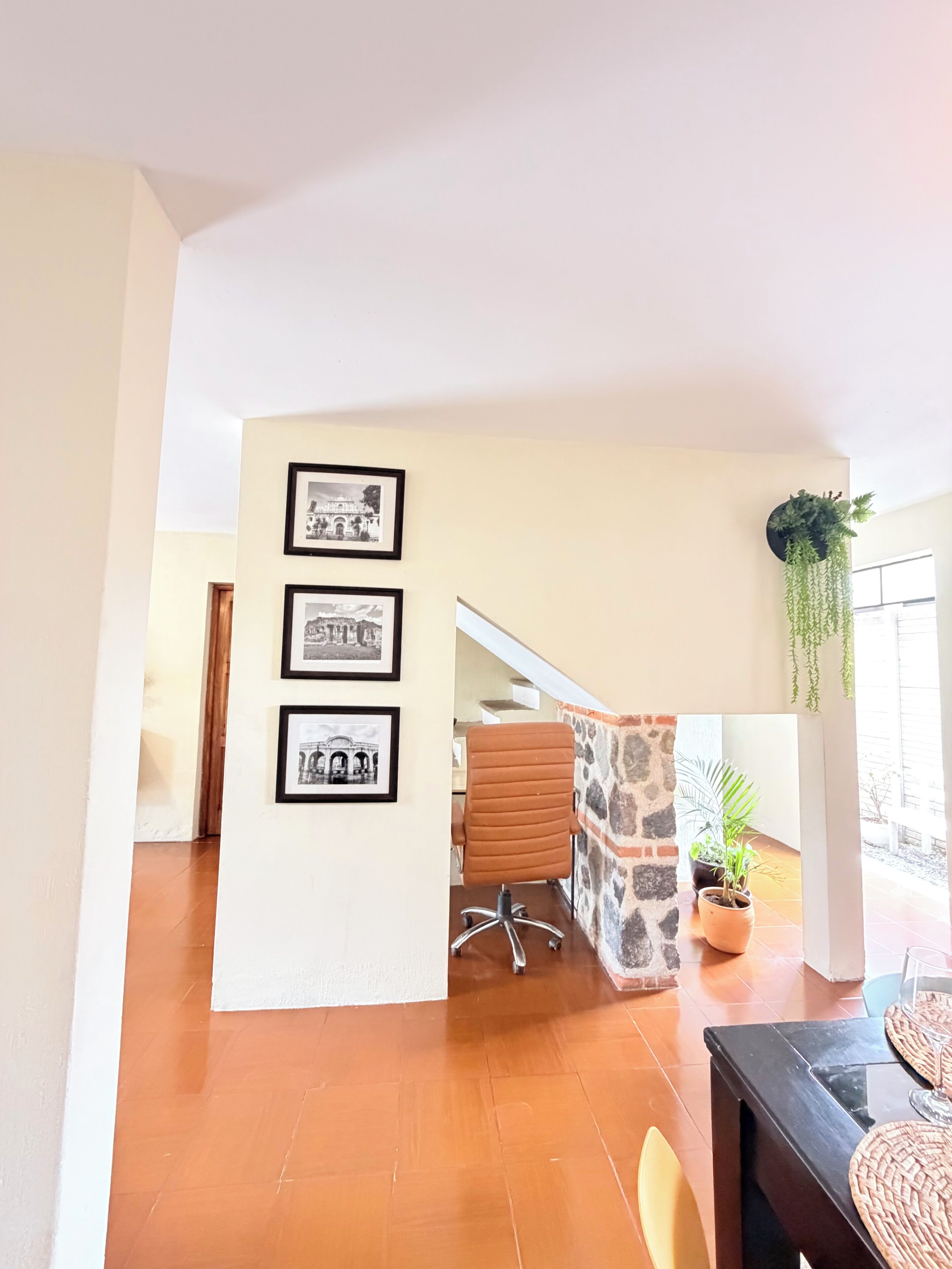 Amplia habitación con piso de baldosas, una mesa de comedor de madera y una silla. Hay tres cuadros en la pared y una planta en maceta colgando del techo.