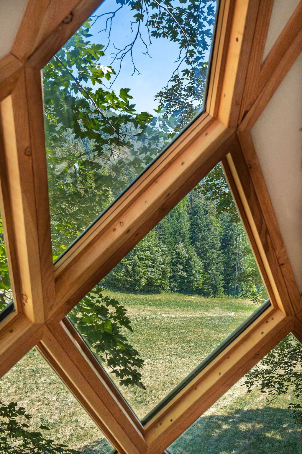 Een kamer met een dakraam met houten frame, met uitzicht op een grasveld en bomen.
