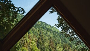 A view through a window with a diamond frame, overlooking a forested hillside.