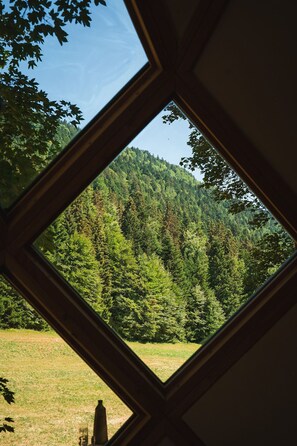 A view through a window with a diamond frame, overlooking a forested hillside.