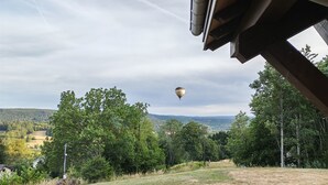 A view from inside a vehicle, overlooking a grassy area with trees and a distant hot air balloon.
