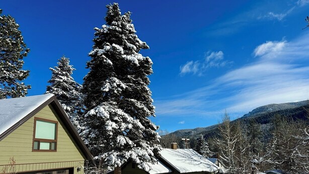 Exterior - Helena Forest Nest Studio, Near Downtown (Helena)