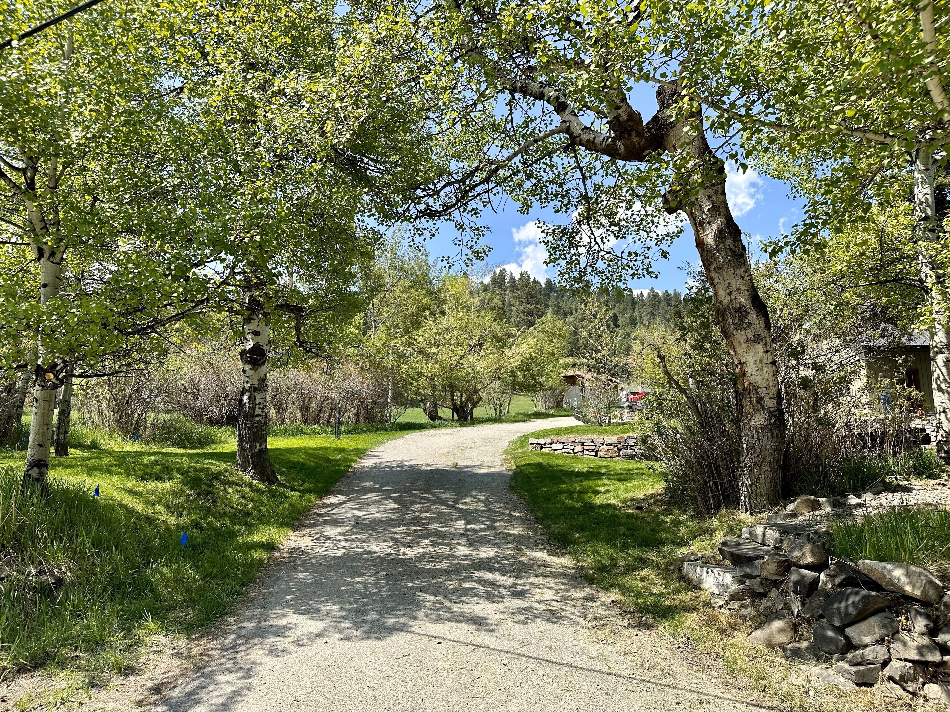 A paved pathway flanked by trees and a stone wall, leading to a building with a thatched roof.