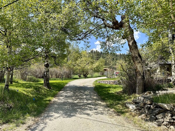 A paved pathway flanked by trees and a stone wall, leading to a building with a thatched roof.
