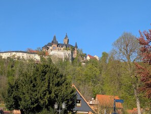 Miscelánea
