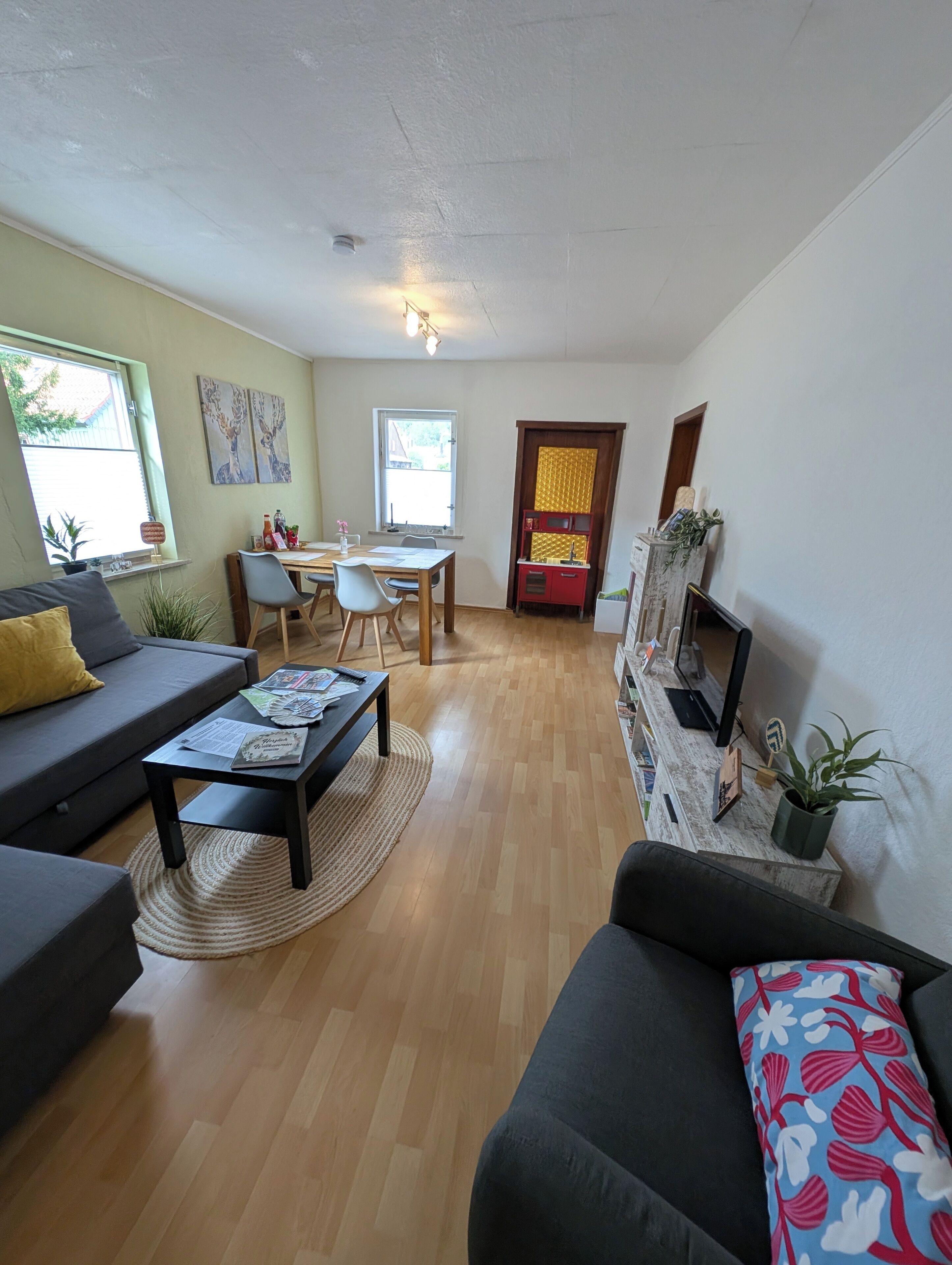 Smart TV, DVD player, books, video library