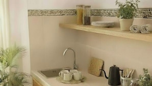 Fridge, stovetop, dishwasher, cookware/dishes/utensils