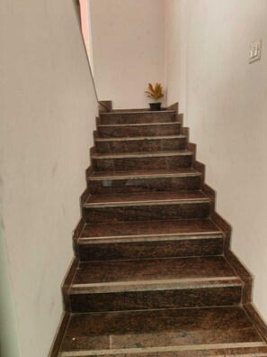 Un conjunto de escaleras marrón oscuro que ascienden, con una planta en maceta en el escalón superior.