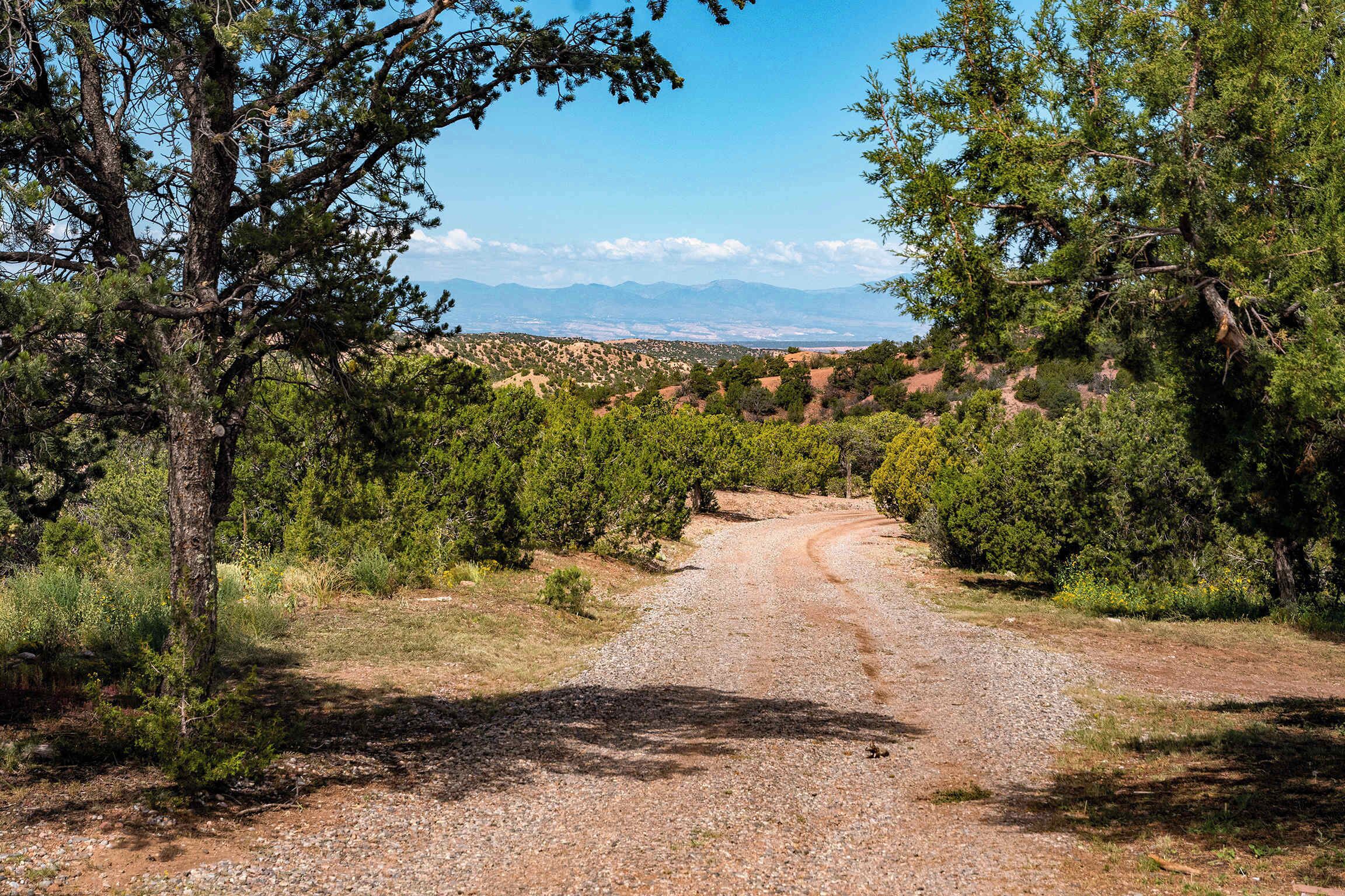 Ein Kiesweg, der durch einen bewaldeten Bereich mit Bäumen und einer entfernten Bergkette führt.