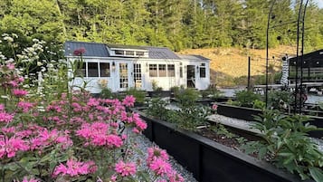A house with a large window and a garden with pink flowers.