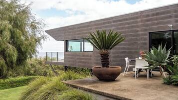 A modern house with a patio, a large potted plant, and a table with chairs.