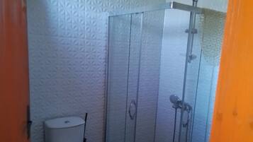 A bathroom with a toilet, a shower enclosure, and a patterned wall.