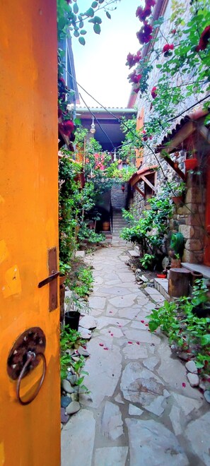 Un estrecho sendero de piedra atraviesa un patio con un rústico muro de piedra y vegetación.