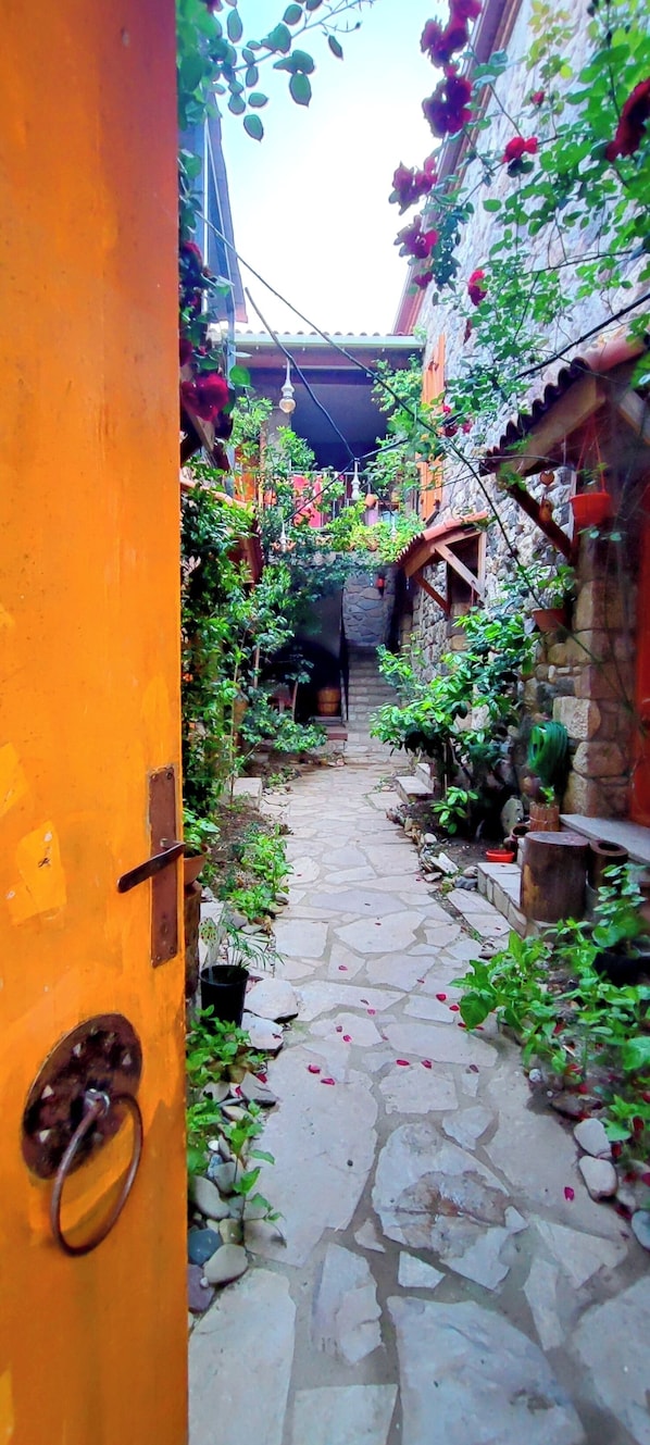 A narrow stone pathway leading through a courtyard with a rustic stone wall and greenery.