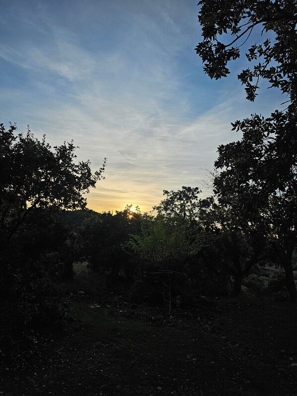 A natural landscape with trees and a clear sky.