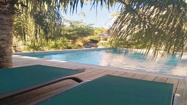 Piscina com espreguiçadeiras e palmeiras.