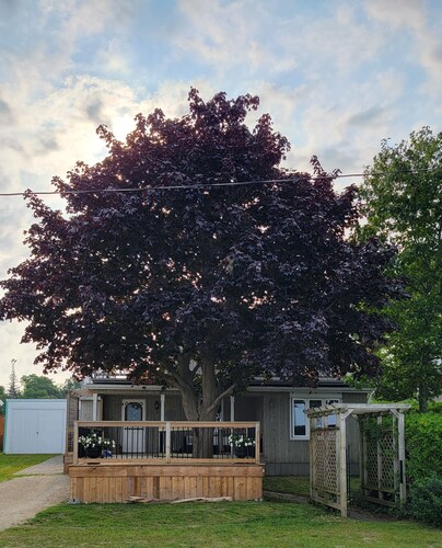 Lakefront Cottage in the Heart of Kincardine | 3 BR | 2 Baths | 2 Decks