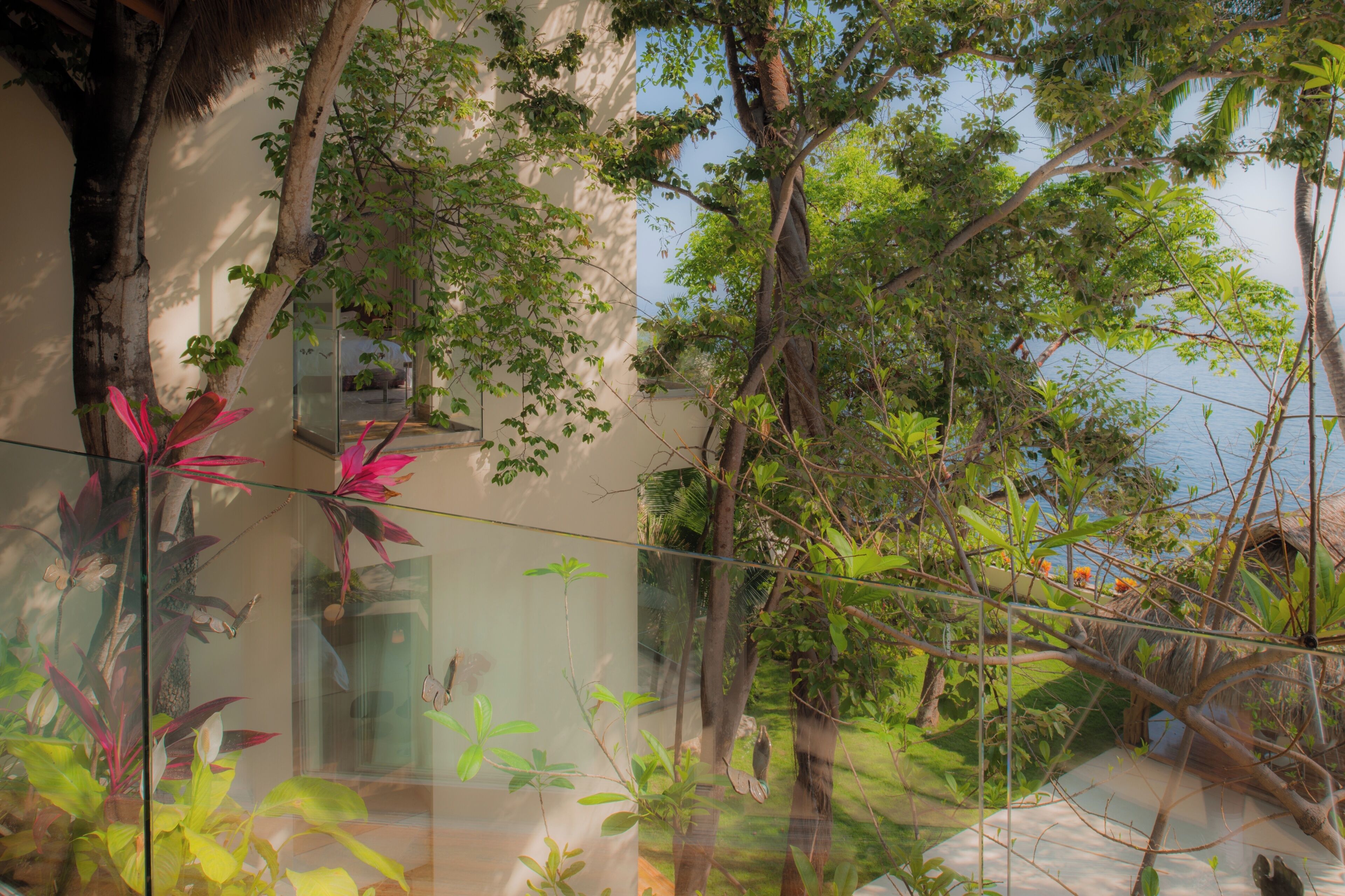 A glass-enclosed indoor garden with various plants and trees, a clear glass wall, and a view of the sky.