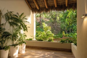 A room with a large window, potted plants, and a wooden floor. - Gorgeous 5-bedroom house in Puerto Vallarta with fitness room (PUERTO VALLARTA)