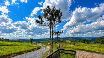 A wooden deck with a metal fence, a clear sky, and a green landscape.