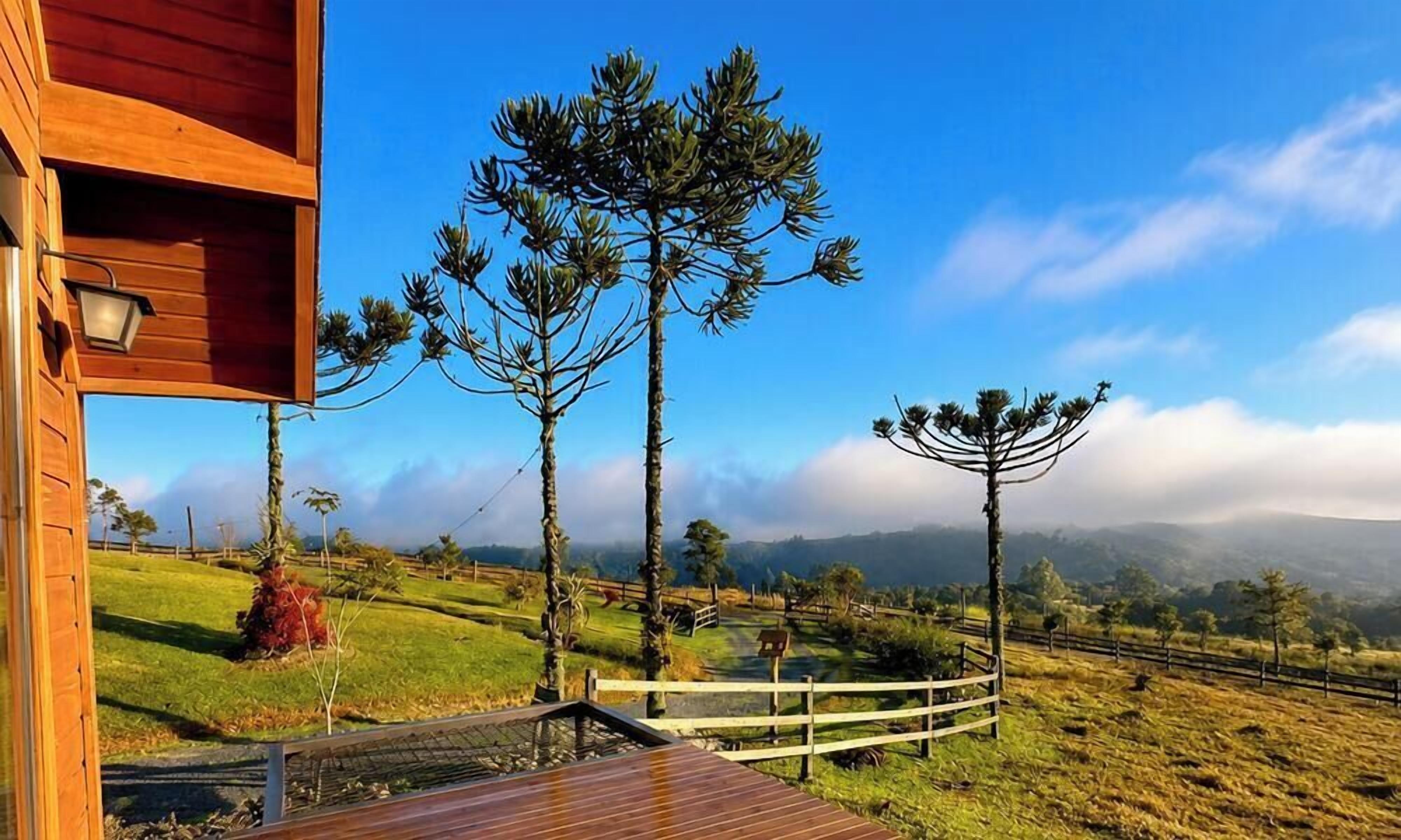 Terraço/pátio