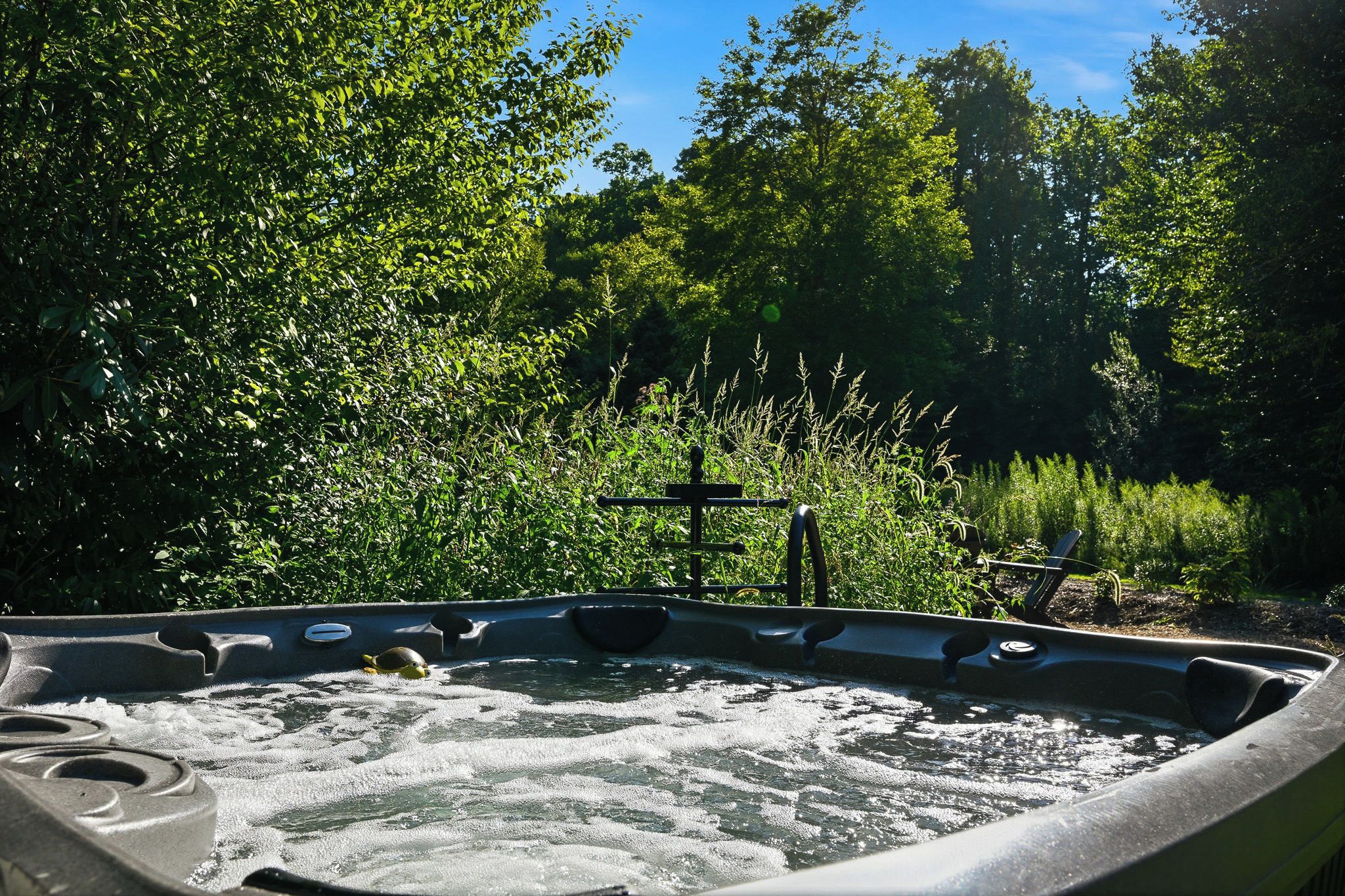 A hot tub surrounded by lush greenery and trees.