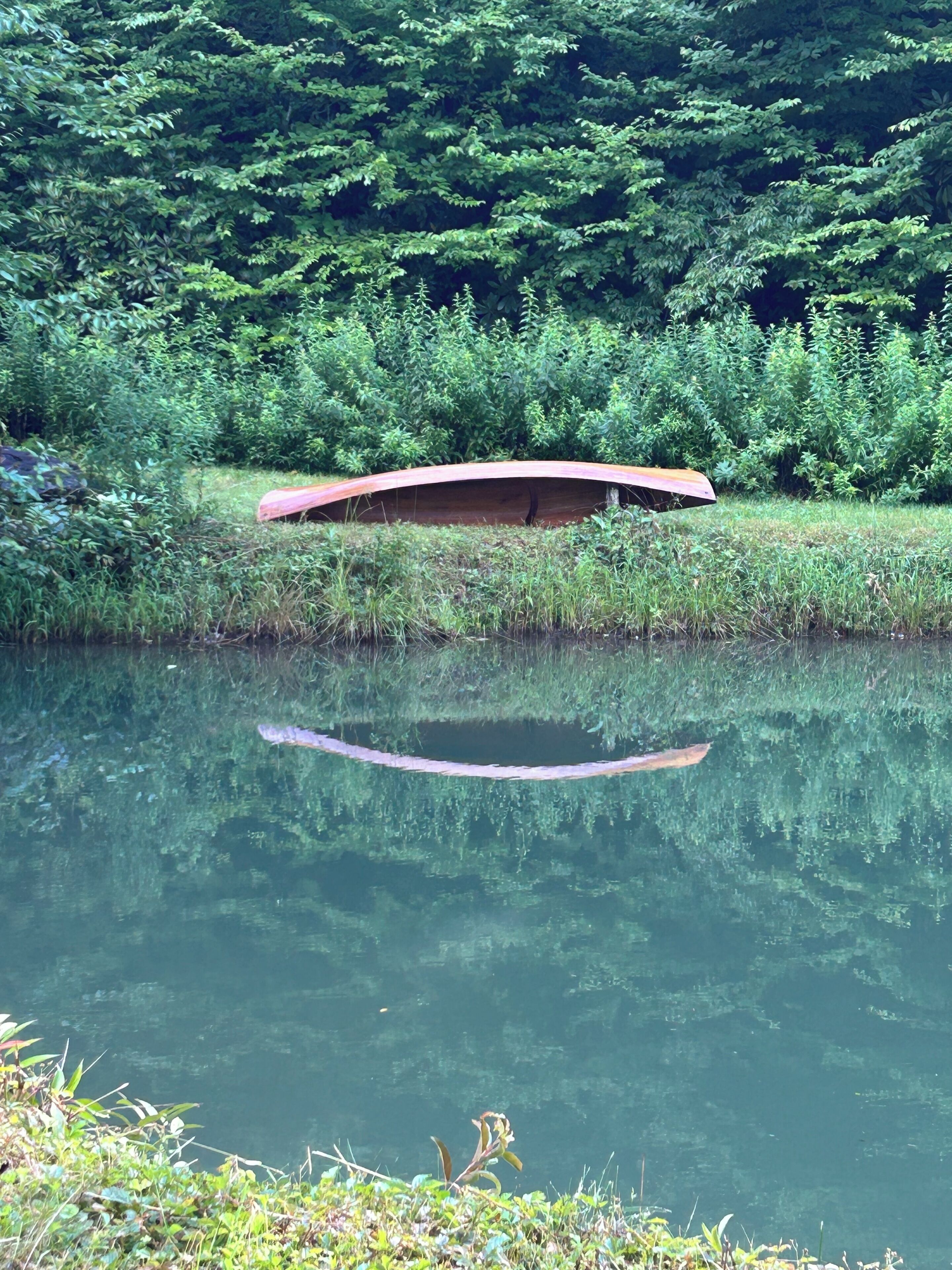 A calm body of water with a wooden bridge and dense greenery in the background.