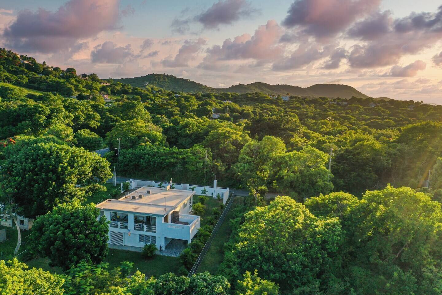Una casa moderna rodeada de abundante vegetación y colinas.