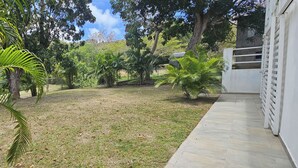A grassy yard with trees and a white building.