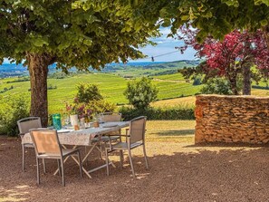 An outdoor dining area with a table set for four, surrounded by chairs, under a tree with a view of vineyards.