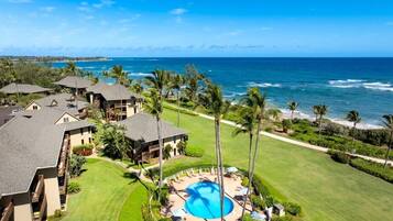 Un resort con piscina, palmeras y vistas al océano.