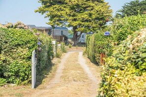 A narrow dirt path flanked by dense hedges and a large tree in the center. - Bord de mer : Mobil-home Neuf avec Jardin (Ploemeur)